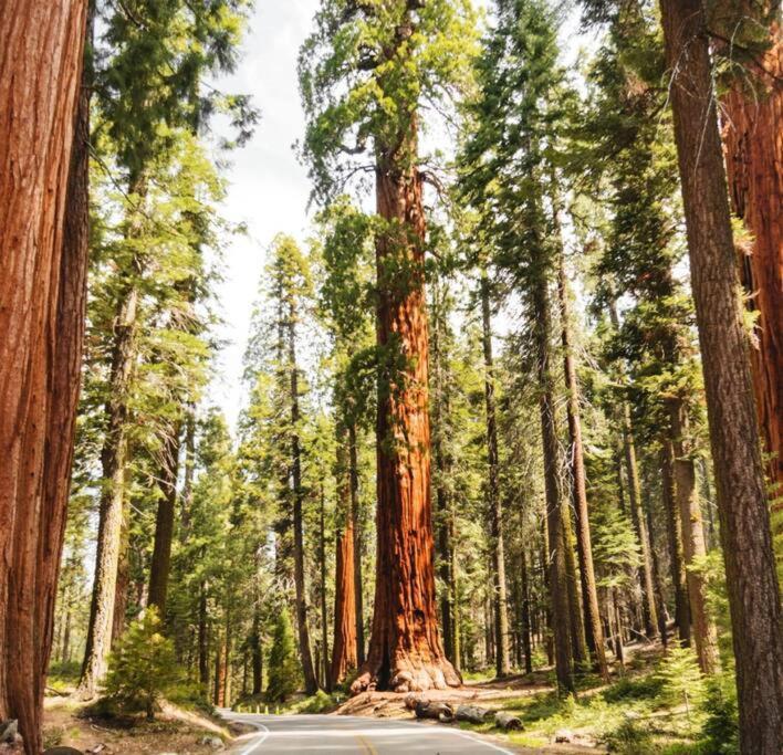 Sequoia Villa Визалия Экстерьер фото
